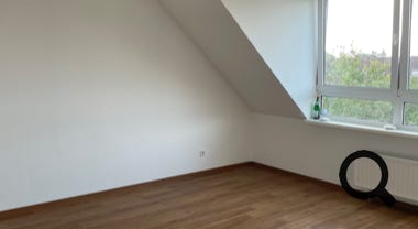 Renovierungsarbeiten, Büroreinigung, Treppenhausreinigung